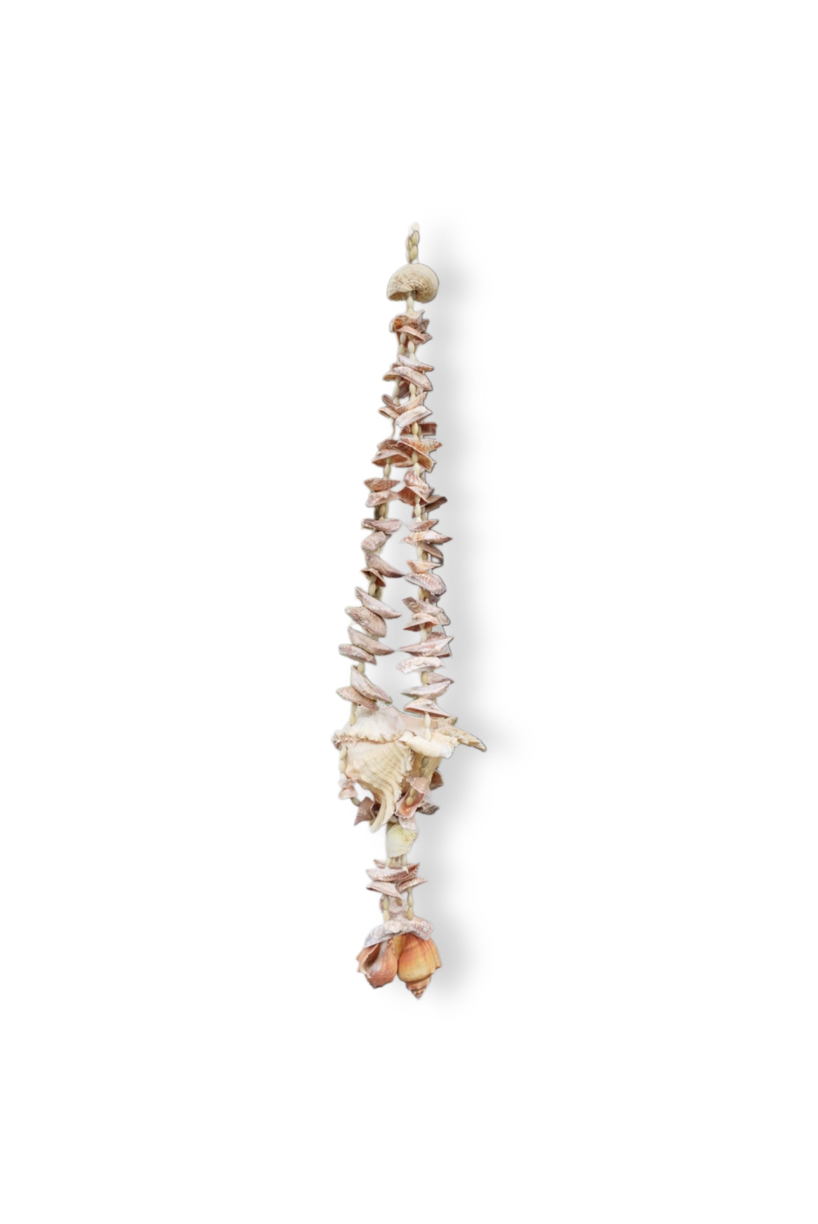 Handcrafted Shell Garden Décor - from Thailand