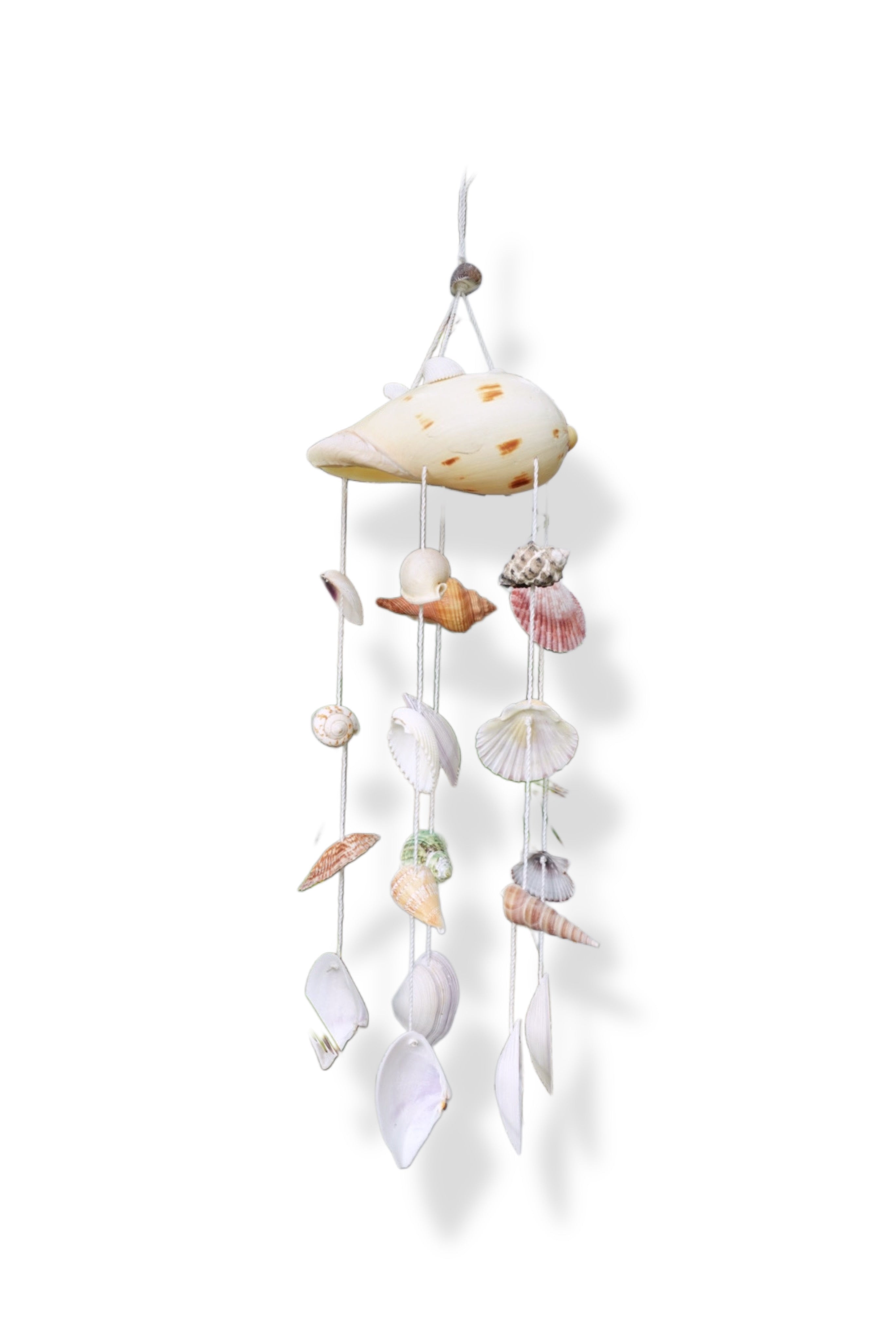 Shell wind chime - From Thailand